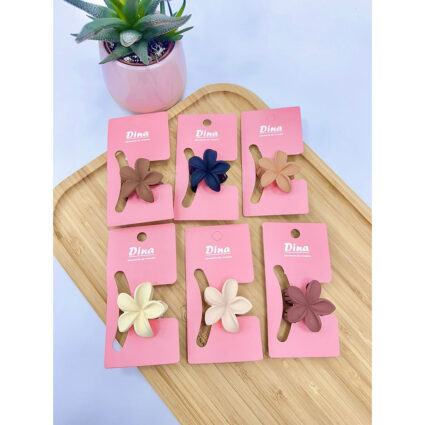 4CM Hair Clip (Pack: 24 Pcs)